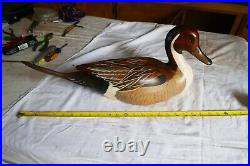 1991 Large Wood Carved Pintail Duck decoy Big sky Carvers 21 Long Lot 24-51-75