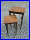 2-Pc-Nesting-Table-Set-Big-Sky-Carvers-Pinecone-accents-Olive-Green-Rare-Cabin-01-akg