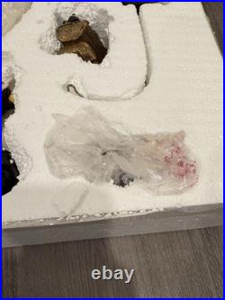 BEARFOOTS Bear Nativity Set I Beartivity Christmas Jeff Fleming Big Sky Carvers