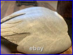 BIG SKY CARVERS Canvasback Duck Decoy Signed K Basta Vintage