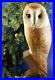 BIG-SKY-CARVERS-Masters-Edition-Woodcarving-Life-Size-Barn-Owl-Raptor-Numbered-01-nmni