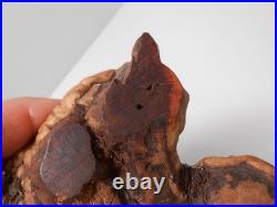 Big Sky Carvers 8 x4 Hand Carved Wooden Brook Trout Signed B. Reel Burl base