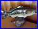 Big-Sky-Carvers-B-Reel-Large-Mouth-Bass-Burl-Wood-Carved-Mini-Fish-Sculpture-01-dhmk