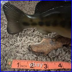 Big Sky Carvers Bass B. Reel, Burl Wood With Bass On Top. 8.5 L X 4.5 T X 2W