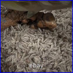 Big Sky Carvers Bass B. Reel, Burl Wood With Bass On Top. 8.5 L X 4.5 T X 2W