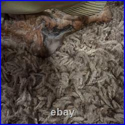 Big Sky Carvers Bass B. Reel, Burl Wood With Bass On Top. 8.5 L X 4.5 T X 2W