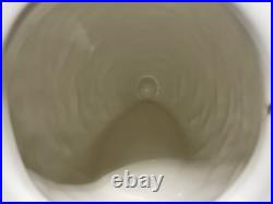 Big Sky Carvers Bearfoots Black Bear On Bee Hive Cookie Jar Jeff Fleming Rare