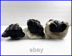 Big Sky Carvers Beartivity Bearfoots Nativity 7 Piece