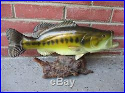 Big Sky Carvers Bill Reel Carved Painted Wood Bass Statue Fish Art 17 inches