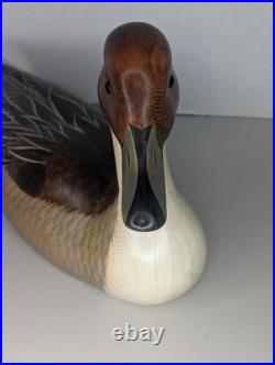 Big Sky Carvers Bozeman Montana 21 Pintail Drake Duck Decoy Signed John Gewerth