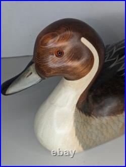 Big Sky Carvers Bozeman Montana 21 Pintail Drake Duck Decoy Signed John Gewerth