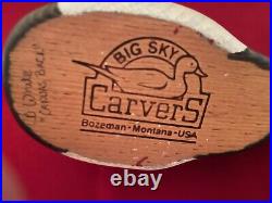 Big Sky Carvers, Bozeman, Montana Canvas Back Duck Hand carved and painted