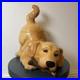 Big-Sky-Carvers-Canine-Kitchen-Collection-Golden-Retriever-Cookie-Jar-2001-Rare-01-ji