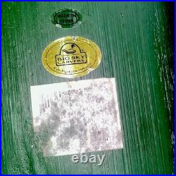 Big Sky Carvers Canoe Mountain, Camp, Lake Home Decor LARGE 22.5