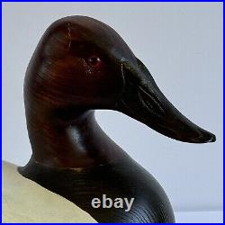 Big Sky Carvers Canvasback Drake Decorative Decoy-Man Cave, Cabin, Lodge