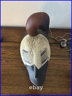 Big Sky Carvers Canvasback Duck Decoy-Doug Brown-Signed-2004-Limited Edition