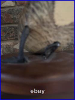 Big Sky Carvers Edition Canada Goose By Don Profota 12 L x 5.25 T #426 Of 750