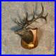 Big-Sky-Carvers-Elk-Display-01-svlj