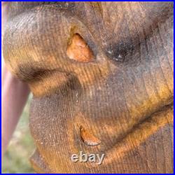 Big Sky Carvers Emily the Raccoon Wood Sculpture