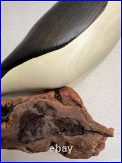 Big Sky Carvers Hand Carved Wood Puffin Glass Eyes Bird Figurine 12