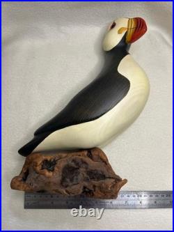 Big Sky Carvers Hand Carved Wood Puffin Glass Eyes Bird Figurine 12