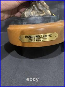 Big Sky Carvers Hardwoods Legend White Tail Deer Bust Resin Pewter Bronze 12x6