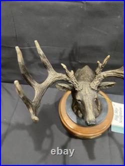 Big Sky Carvers Hardwoods Legend White Tail Deer Bust Resin Pewter Bronze 12x6