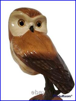 Big Sky Carvers K. W. White Masters Conservation Edition Woodcarving Owl 117/300
