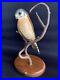 Big-Sky-Carvers-K-W-White-No-Small-Wonder-Hawk-Wood-Carving-by-Ken-White-01-mg