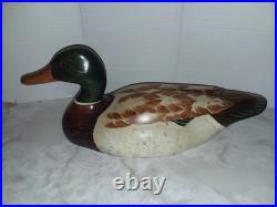 Big Sky Carvers Mallard Duck Decoy Signed Thomas Chandler Bozeman Montana Wood
