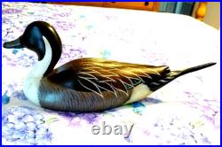 Big Sky Carvers Mallard Duck PINTAIL Signed SILLY A. MC MURRAY