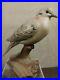 Big-Sky-Carvers-Masters-Edition-Mourning-Dove-Sculpture-Limited-Edition-119-1250-01-nu
