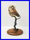 Big-Sky-Carvers-Masters-Edition-Owl-Woodcarving-193-950-Signed-K-W-White-RARE-01-xt
