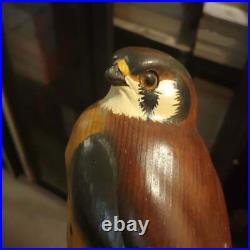 Big Sky Carvers Masters Edition Wood Carved Kestrel Falcon Bird