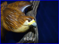 Big Sky Carvers Masters Edition Woodcarving Hawk Bird 32/1250 KW White Decoy