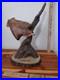 Big-Sky-Carvers-Masters-Edition-Woodcarving-Numberd-Red-Tail-Hawk-Decoy-KW-White-01-whv