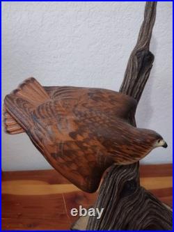 Big Sky Carvers Masters Edition Woodcarving Numberd Red Tail Hawk Decoy KW White