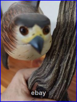 Big Sky Carvers Masters Edition Woodcarving Numberd Red Tail Hawk Decoy KW White