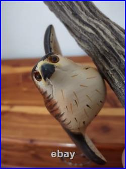 Big Sky Carvers Masters Edition Woodcarving Numberd Red Tail Hawk Decoy KW White