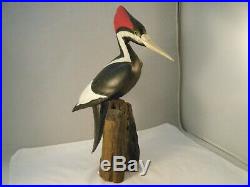 Big Sky Carvers Masters Limited Edition Billed Woodpecker #313/1250 15 Tall