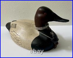 Big Sky Carvers Montana 2007 Canvasback Carved Wood Duck 14.5 Signed Numbered
