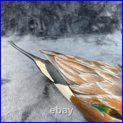 Big Sky Carvers Montana Pintail Duck Signed Sally McMurray