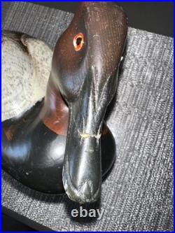 Big Sky Carvers Montana USA 1999 Canvasback Carved Wood Duck 12