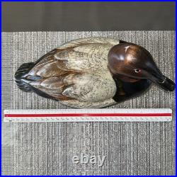 Big Sky Carvers Montana USA 1999 Canvasback Carved Wood Duck 12
