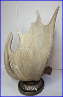 Big Sky Carvers Moose Antler Table Lamp