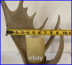 Big Sky Carvers Moose Antler Table Lamp