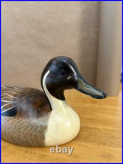 Big Sky Carvers Orvis Decoys 19 Pintail Drake Duck Decoy Signed Sally McMurray