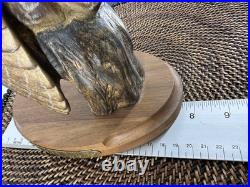 Big Sky Carvers Owl Ken White Ltd Ed 14/1250 Hand Carved wood Evening Tracker