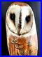 Big-Sky-Carvers-Owl-Masters-Edition-188-1250-Wood-Sculpture-14-5-Inches-Art-01-xcuu