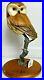 Big-Sky-Carvers-Owl-Masters-edition-woodcarving-817-950-signed-by-K-W-WHITE-01-esef